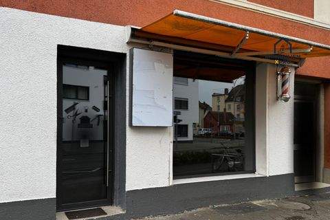 Singen (Hohentwiel) Büros, Büroräume, Büroflächen 