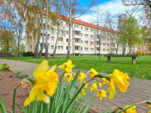 Magdeburg Wohnungen, Magdeburg Wohnung mieten