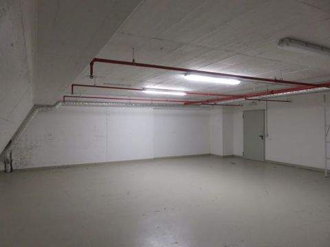 Amberg Halle, Amberg Hallenfläche