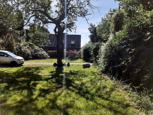 Terrassen-Gartenblick 