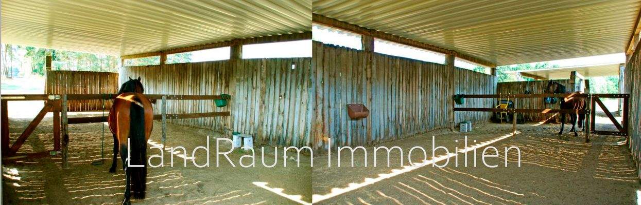 HCD Expose - Watermarks-22 b.jpg
