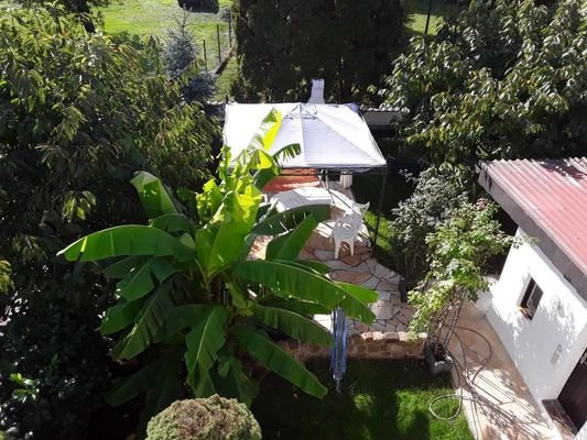 Garten von oben (Sommerimpression)