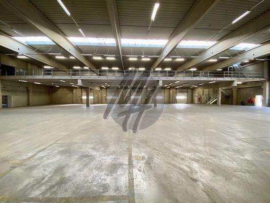 INFOS UNTER: 06171-586000