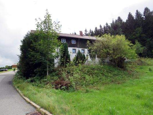 ruhige Lage am Waldrand 