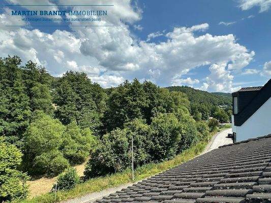 Blick Fenster DG Straßenseite