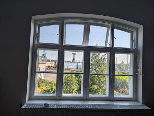 shared image (22).jpeg