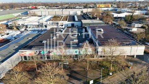 Krefeld Halle, Krefeld Hallenfläche