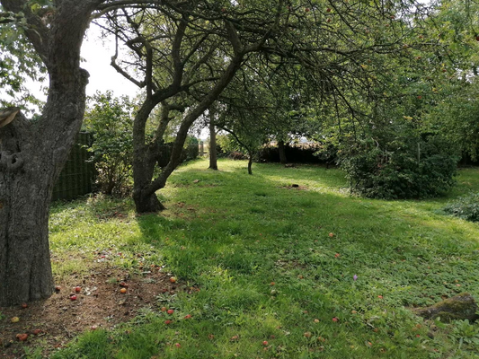 726860a7-480c-4d5c-a15b-00e5ef861dc3