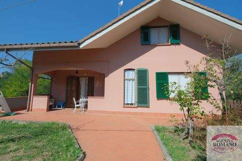 SASSELLO Häuser, SASSELLO Haus kaufen