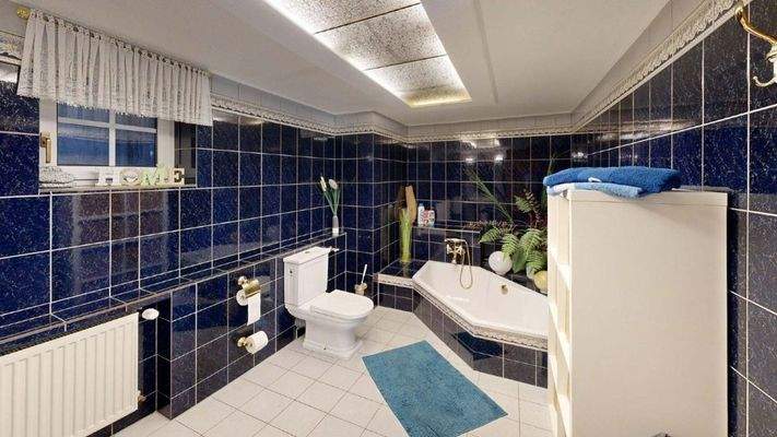 haus-mieten-borna (89)