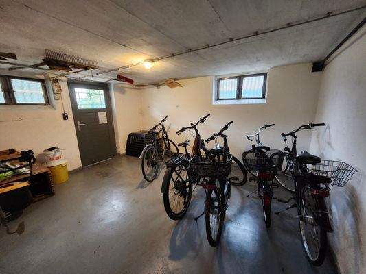 Fahrradkeller mit Ausgang zum Garten.jpg