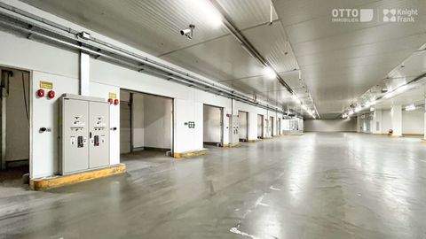 Loosdorf Halle, Loosdorf Hallenfläche