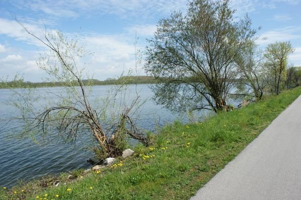 Bild 14