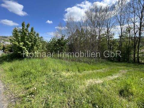 Bad Berleburg-Schwarzenau Grundstücke, Bad Berleburg-Schwarzenau Grundstück kaufen