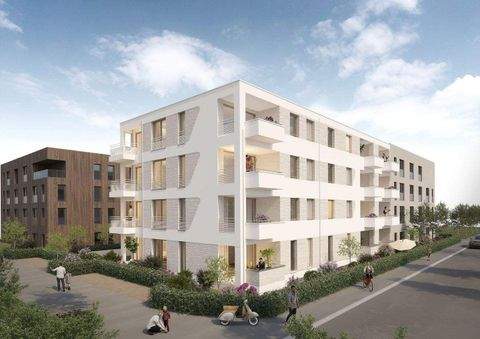 Schwäbisch Hall Wohnungen, Schwäbisch Hall Wohnung kaufen