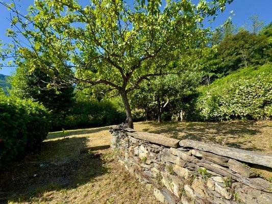 IM1029_23 TERRA ITALIA IMMOBILIEN_REAL ESTATE_FOR 