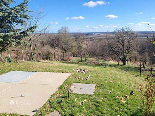 Garten - (KI generiert)