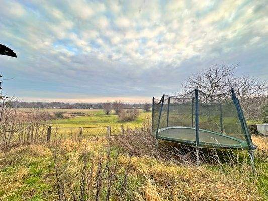 Blick über dem Gartenzaun zur Koppel
