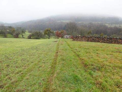 Collenberg Bauernhöfe, Landwirtschaft, Collenberg Forstwirtschaft