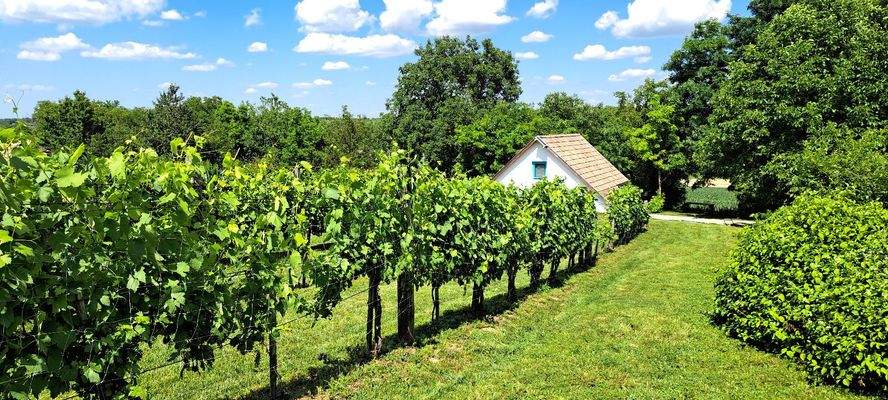 WhatsApp Image 2025-10-22 at 14.12.47 (4).jpeg