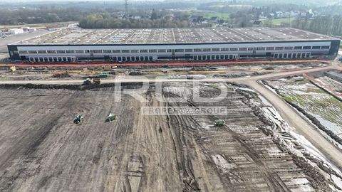 Dortmund Halle, Dortmund Hallenfläche