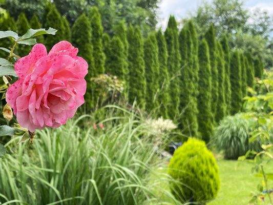 Hochwertiges Zweifamilienhaus
