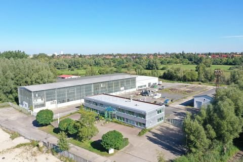 Rostock Halle, Rostock Hallenfläche