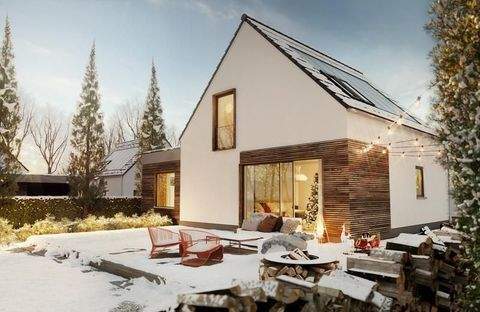 Dannenfels Häuser, Dannenfels Haus kaufen