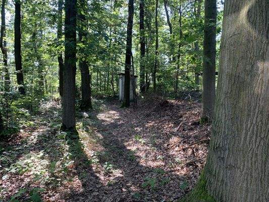 Waldteil Zuwegung über "Am Park"