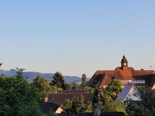 Über den Dächern von Freiburg Richtung Münster und Holzschlägermatte