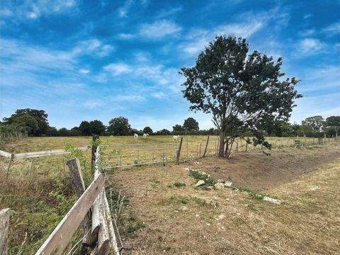 Neustadt Bauernhöfe, Landwirtschaft, Neustadt Forstwirtschaft