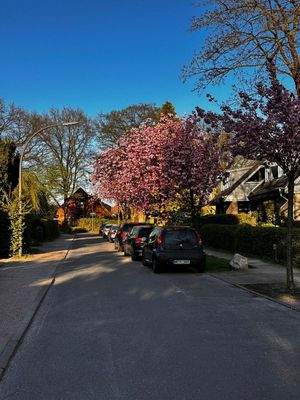 Wohnstraße im Frühling
