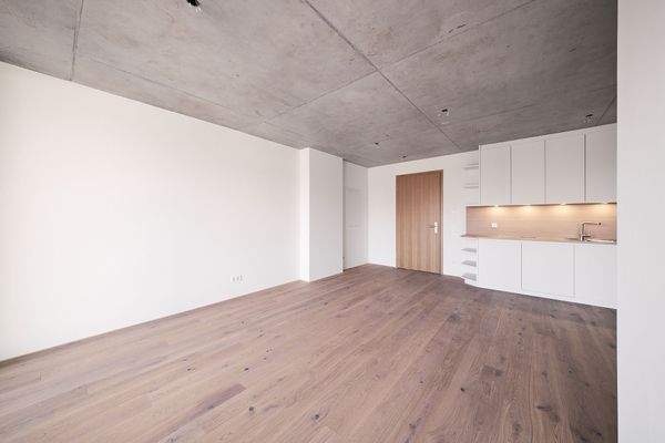 Wohnküche mit Blick zum Eingang - HERDERGÄRTEN 3.4.2