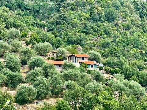 Apricale Häuser, Apricale Haus kaufen