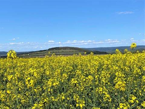 Neidenbach Grundstücke, Neidenbach Grundstück kaufen