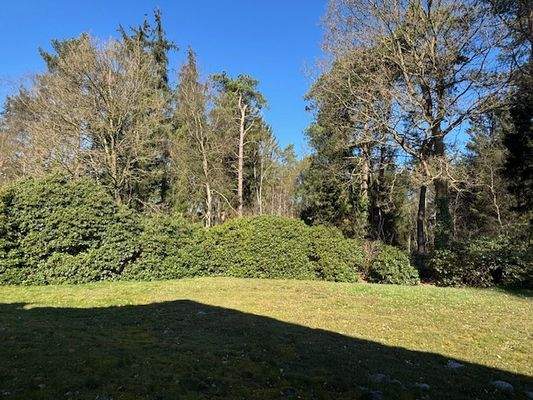 Ansicht Garten