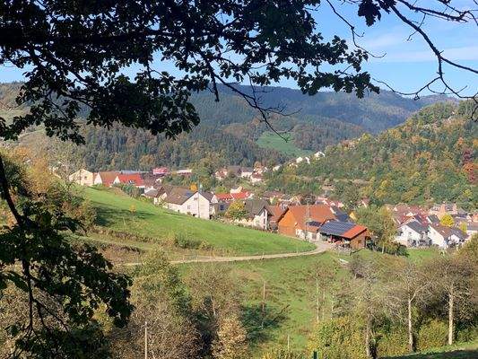 Blick auf Oppenau.jpg