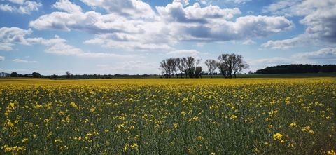 Basedow Grundstücke, Basedow Grundstück kaufen