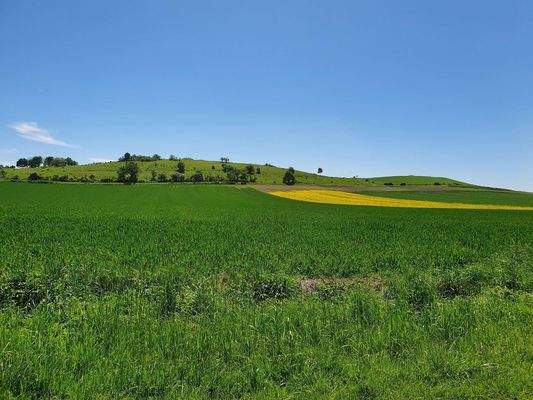 Der Offenberg, der Namensgeber
