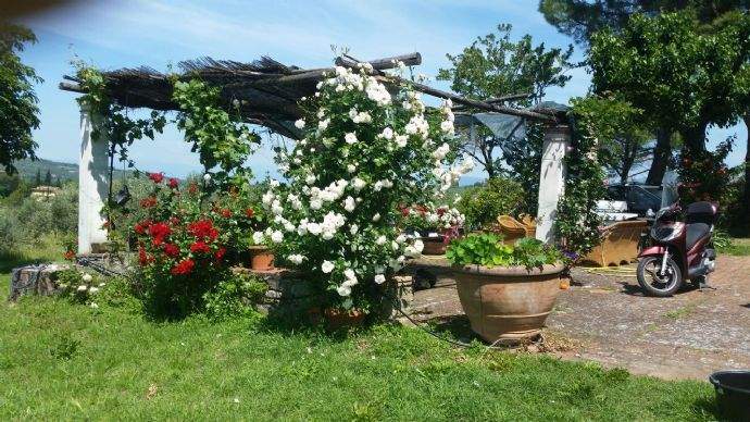 Rückzugsort im Freien