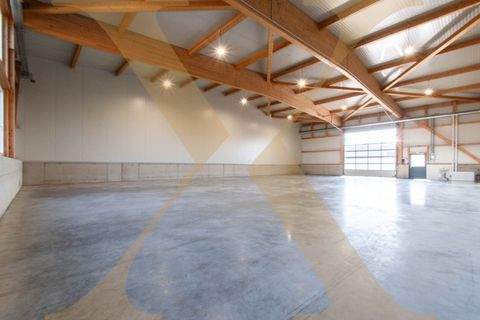 Arbing Halle, Arbing Hallenfläche