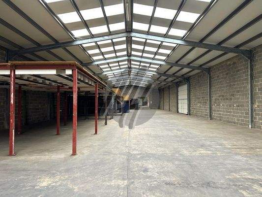 INFOS UNTER: 06171-586000