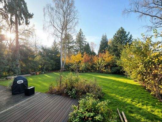 Blick in den Garten (KI)