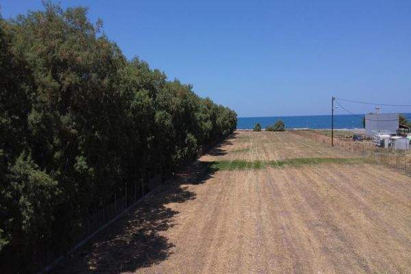 Kreta, Tavronitis: Erstklassiges Strandgrundstück mit malerischem Meerblick zu verkaufen