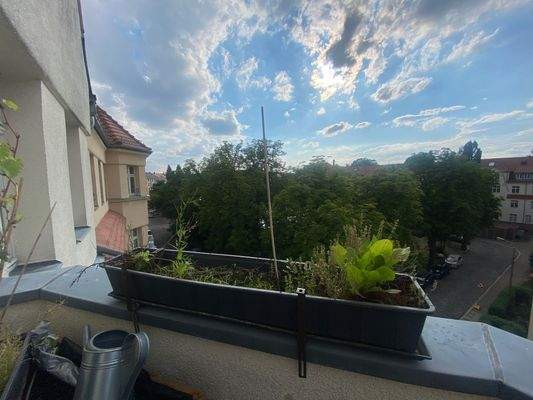 Ausblick vom Balkon