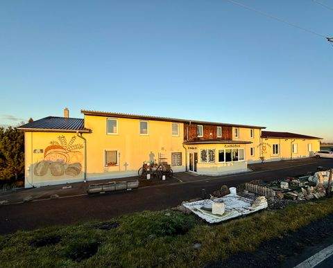 Niederau Halle, Niederau Hallenfläche