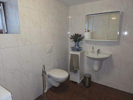 WE 01 Gästebad Souterrain