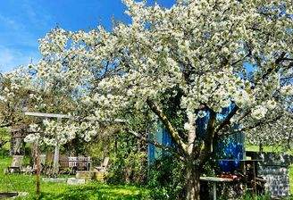 Zuhause nahe der Natur