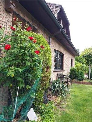 Garten Außenansicht