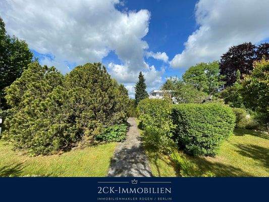 Albrecht-Dürer 22 001